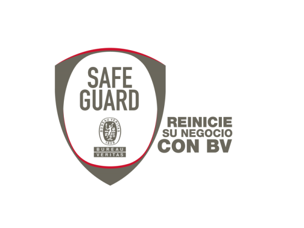 Reinicie Safeguard